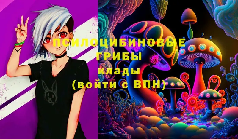 где купить   Агрыз  Галлюциногенные грибы Cubensis 